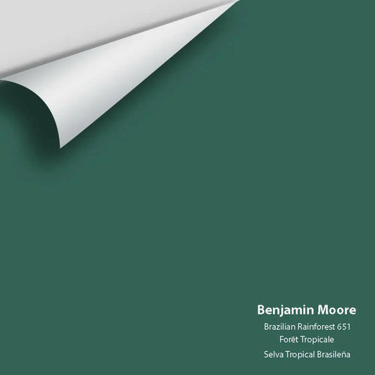 Big Paint Chip - Brazilian Rainforest 651