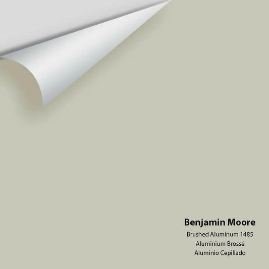 Big Paint Chip - Brushed Aluminum 1485