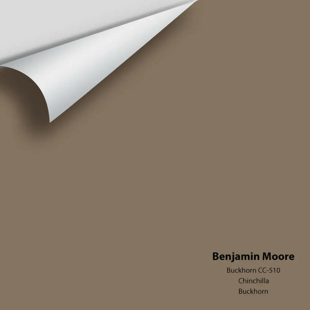 Big Paint Chip - Buckhorn 987 / CC-510 Colour Sample
