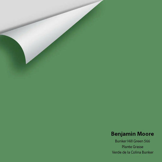 Big Paint Chip - Bunker Hill Green 566