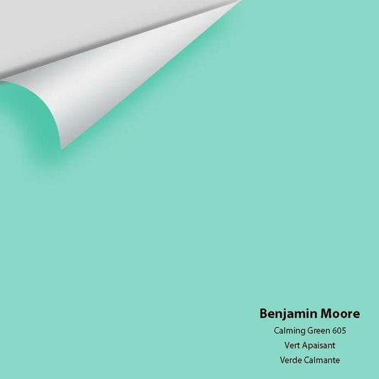 Big Paint Chip - Calming Green 605