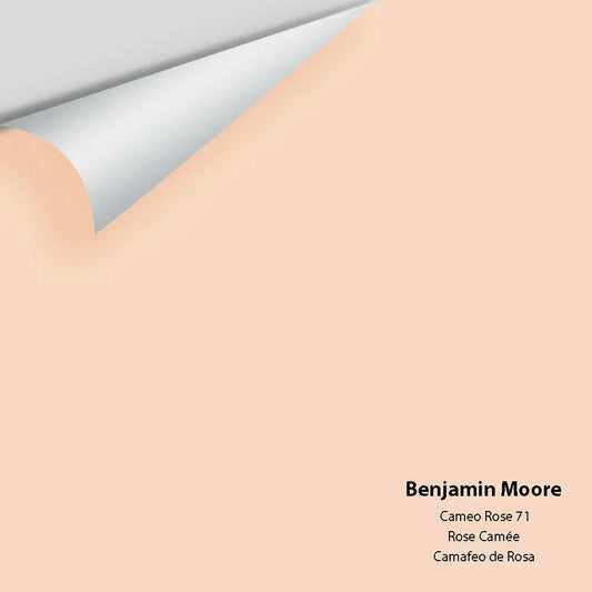 Big Paint Chip - Cameo Rose 71