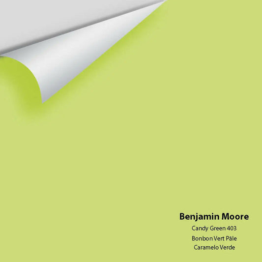 Big Paint Chip - Candy Green 403