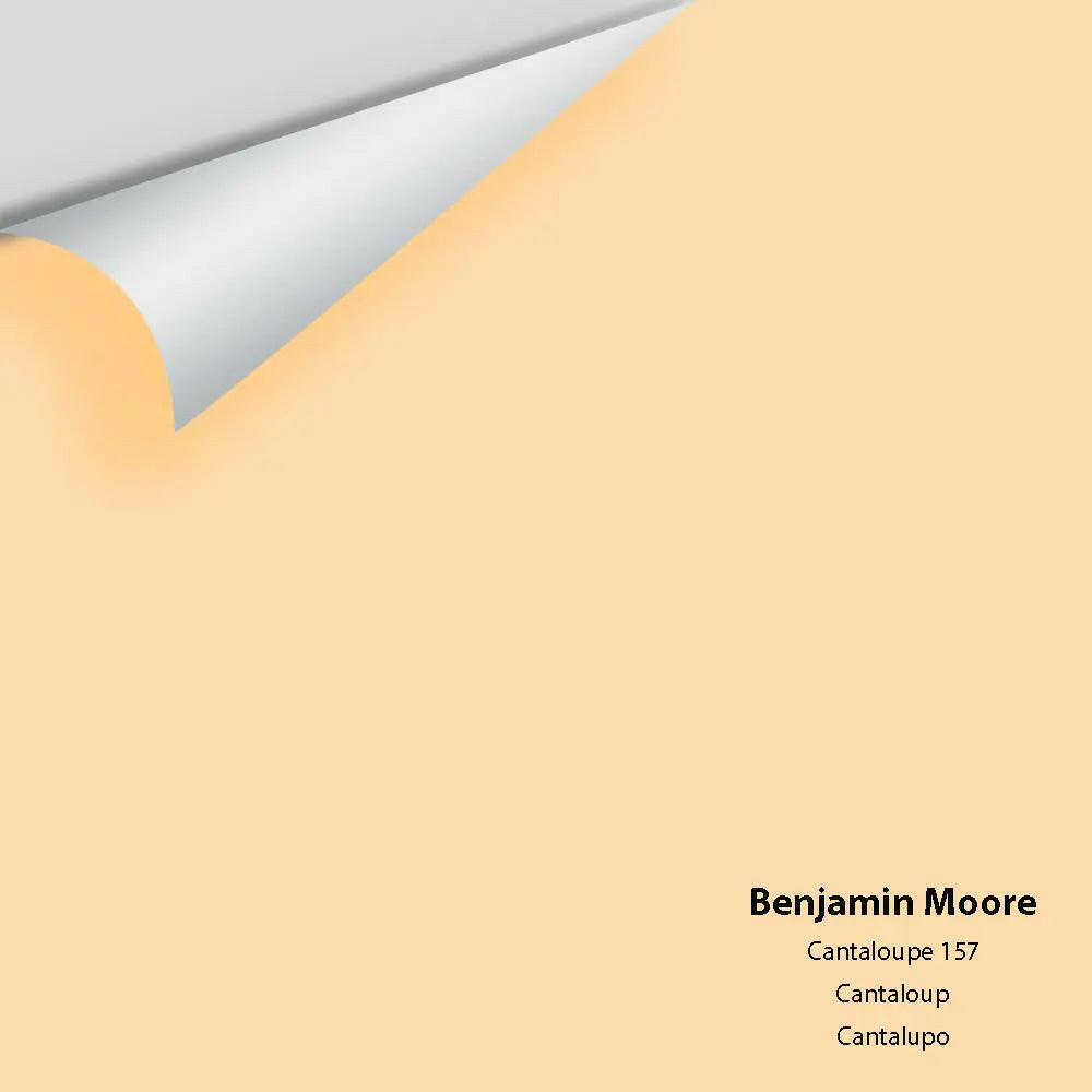Big Paint Chip - Cantaloupe 157