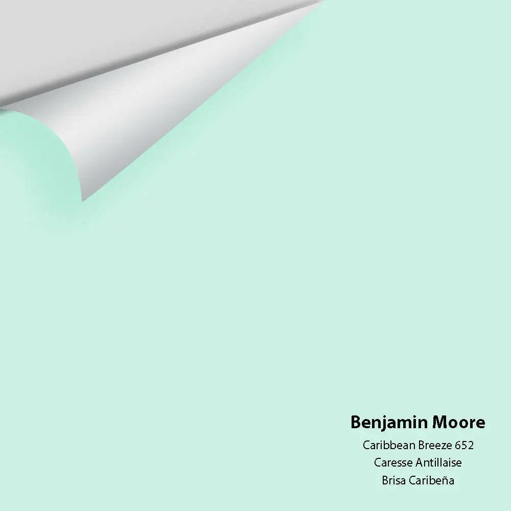 Big Paint Chip - Caribbean Breeze 652