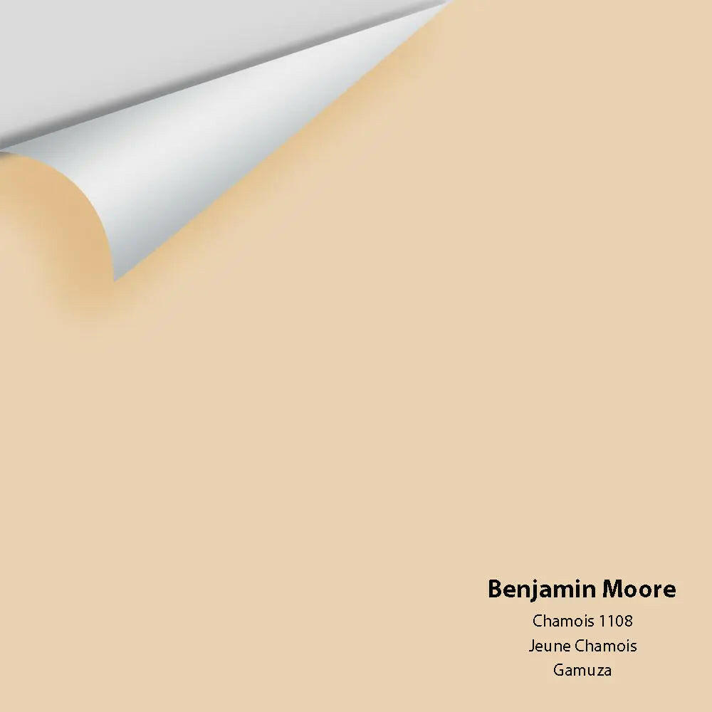 Big Paint Chip - Chamois 1108