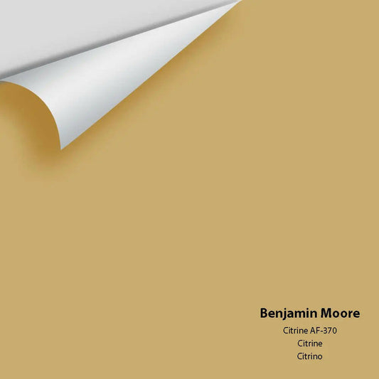 Big Paint Chip - Citrine AF-370