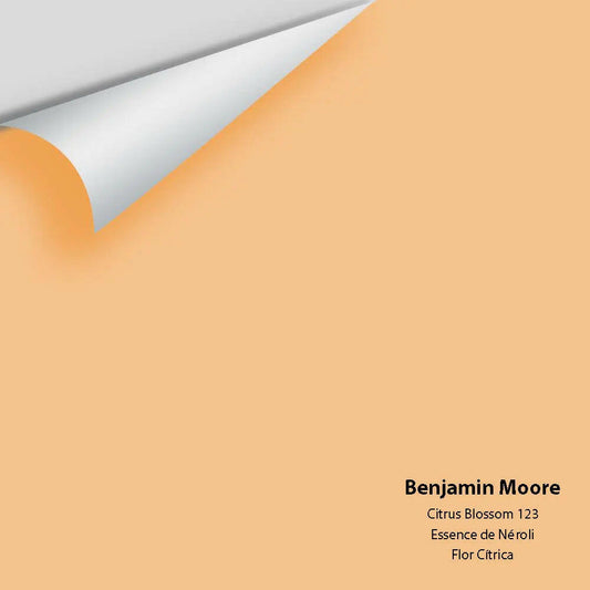 Big Paint Chip - Citrus Blossom 123