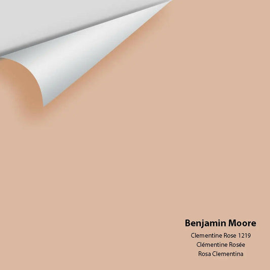 Big Paint Chip - Clementine Rose 1219