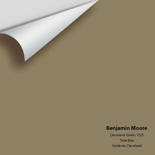 Big Paint Chip - Cleveland Green 1525
