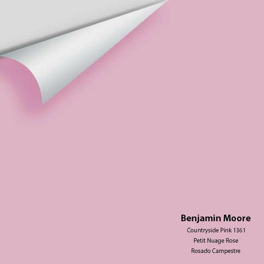 Big Paint Chip - Countryside Pink 1361