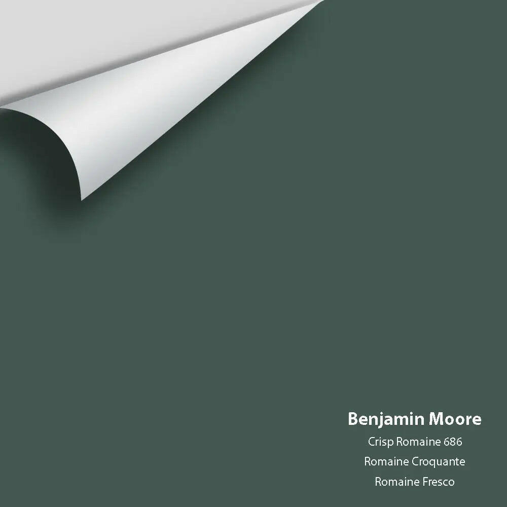 Big Paint Chip - Crisp Romaine 686