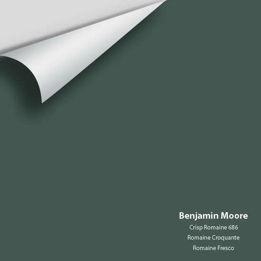 Big Paint Chip - Crisp Romaine 686