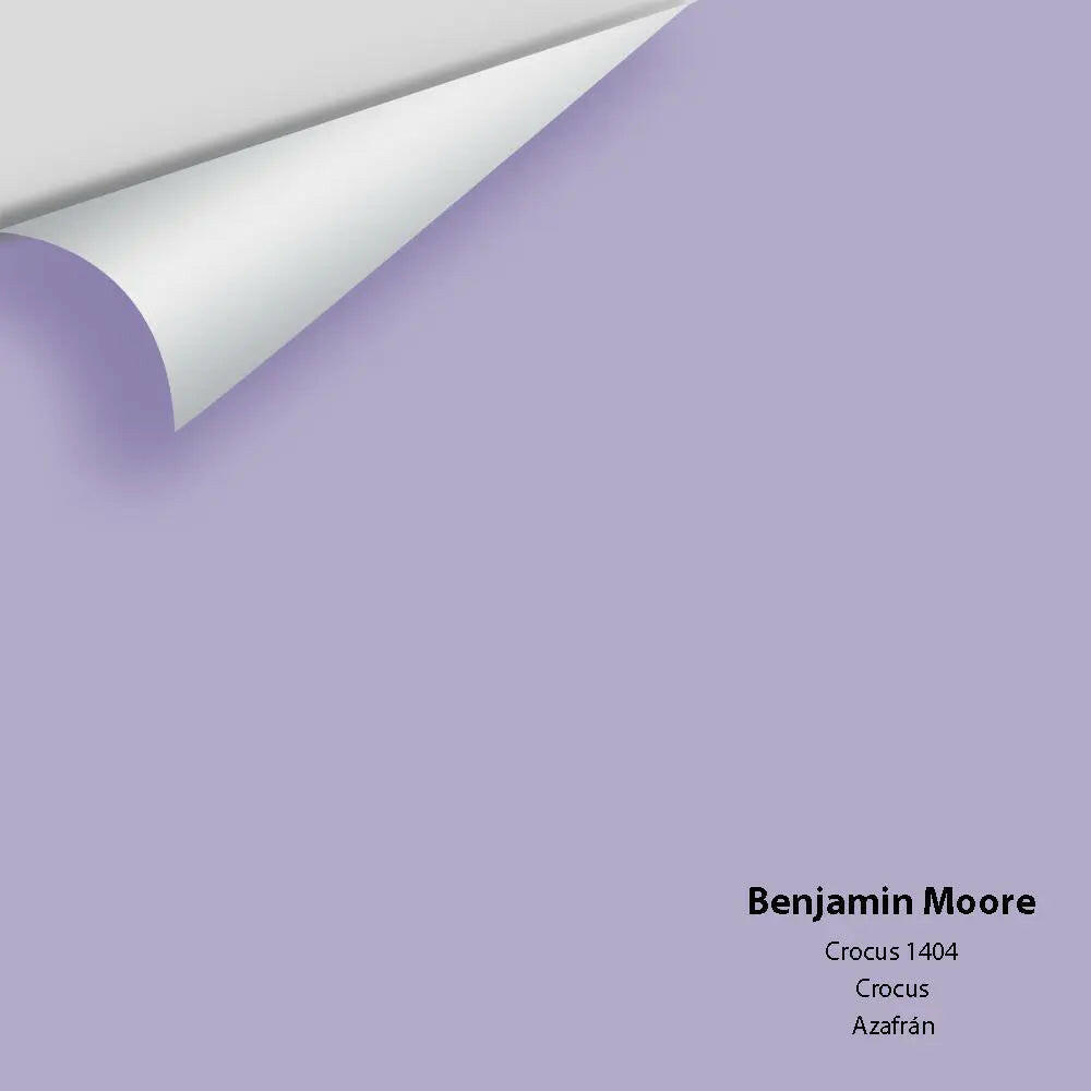 Big Paint Chip - Crocus 1404