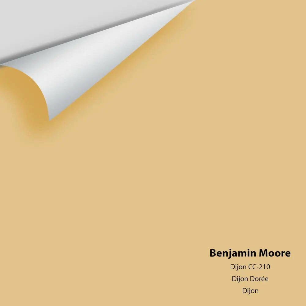 Big Paint Chip - Dijon 193 / CC-210