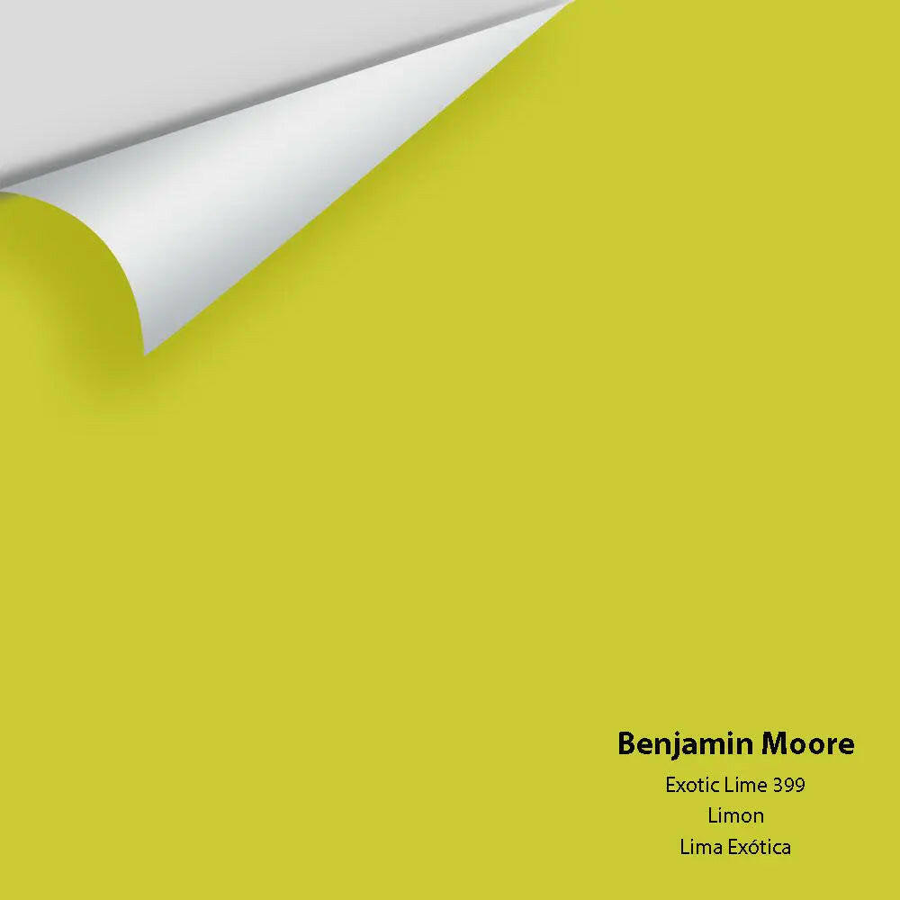 Big Paint Chip - Exotic Lime 399
