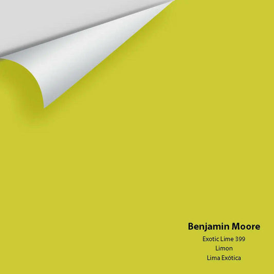 Big Paint Chip - Exotic Lime 399