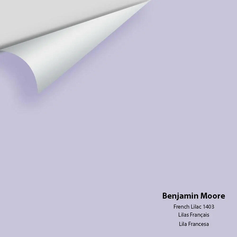 Big Paint Chip - French Lilac 1403