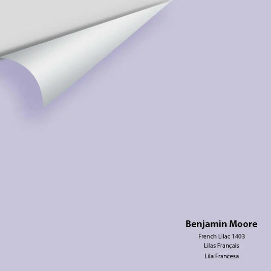 Big Paint Chip - French Lilac 1403