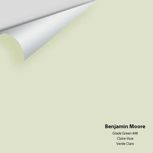 Big Paint Chip - Glade Green 498