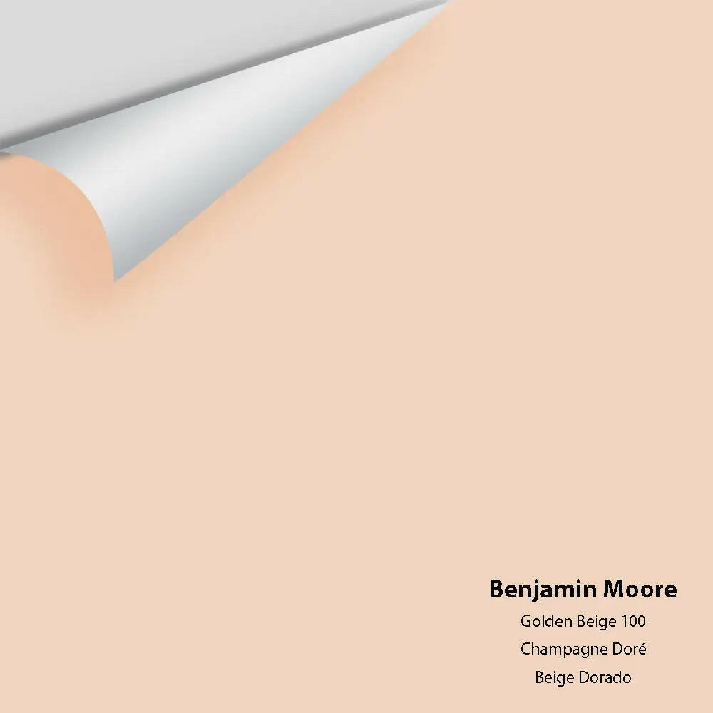 Big Paint Chip - Golden Beige 100