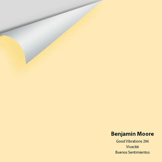 Big Paint Chip - Good Vibrations 296