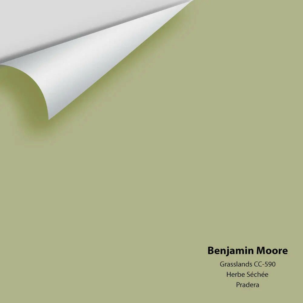 Big Paint Chip - Grasslands 502 / CC-590