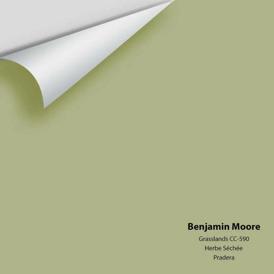 Big Paint Chip - Grasslands 502 / CC-590