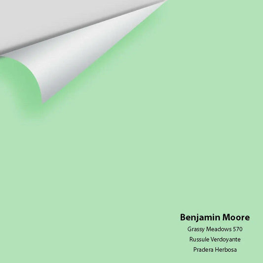 Big Paint Chip - Grassy Meadows 570