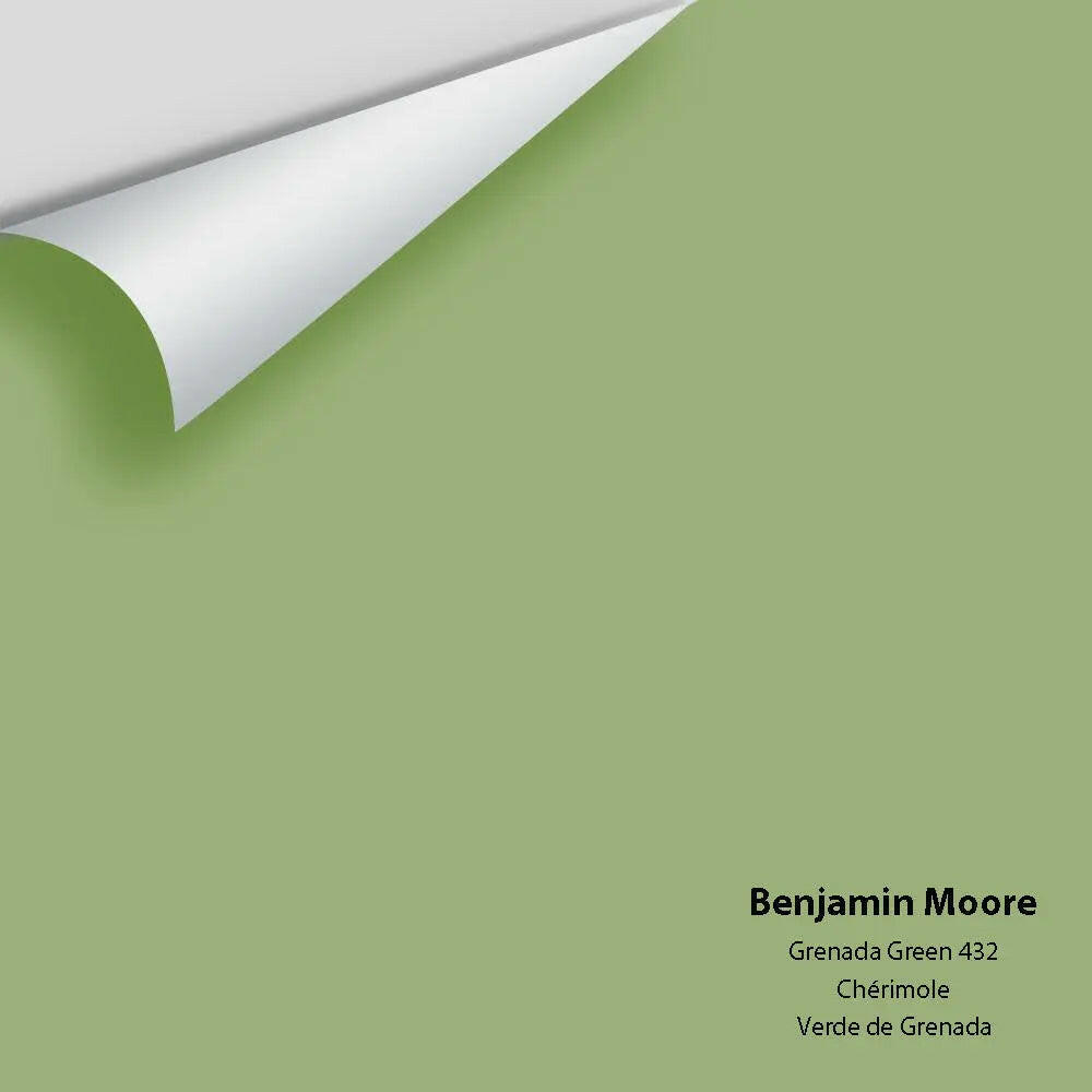 Big Paint Chip - Grenada Green 432 Colour Sample