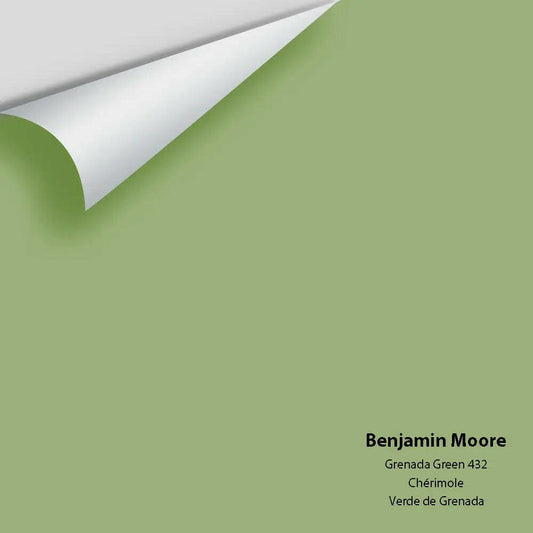 Big Paint Chip - Grenada Green 432 Colour Sample