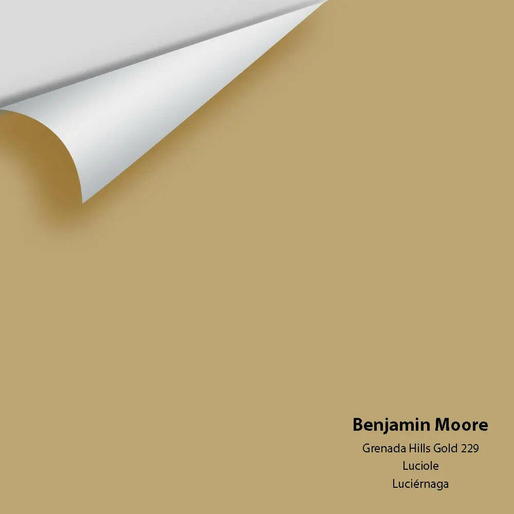 Big Paint Chip - Grenada Hills Gold 229