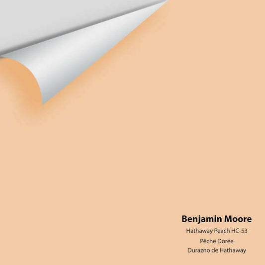 Benjamin Moore - Hathaway Peach HC-53 Colour Sample