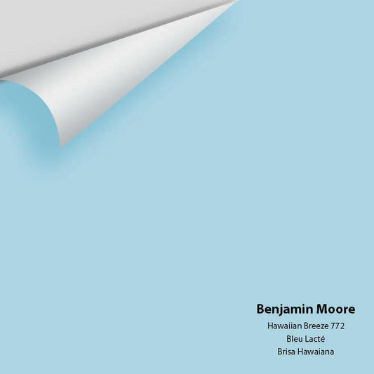 Big Paint Chip - Hawaiian Breeze 772
