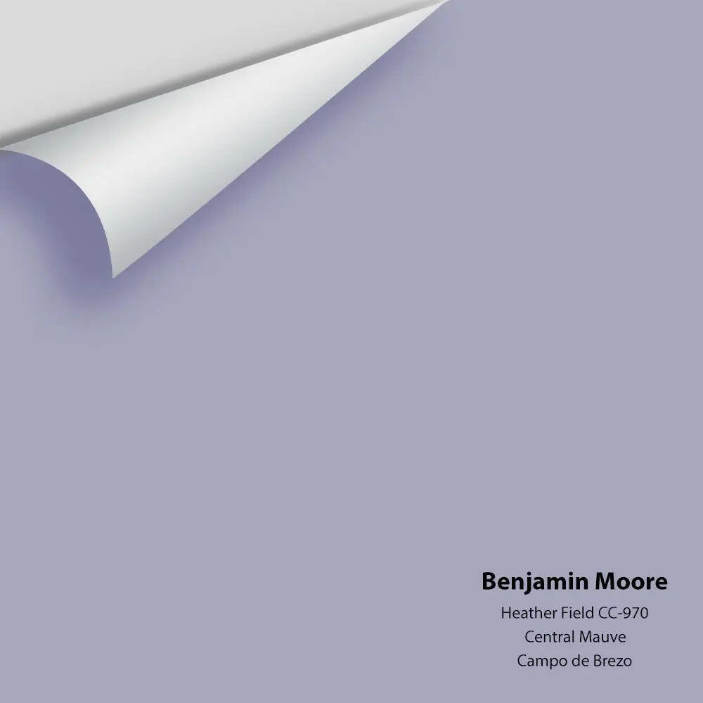 Benjamin Moore - Heather Field CC-970 Colour Sample