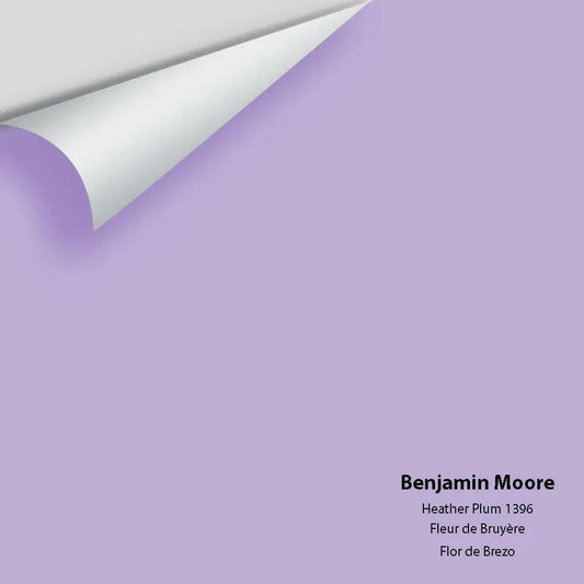 Big Paint Chip - Heather Plum 1396