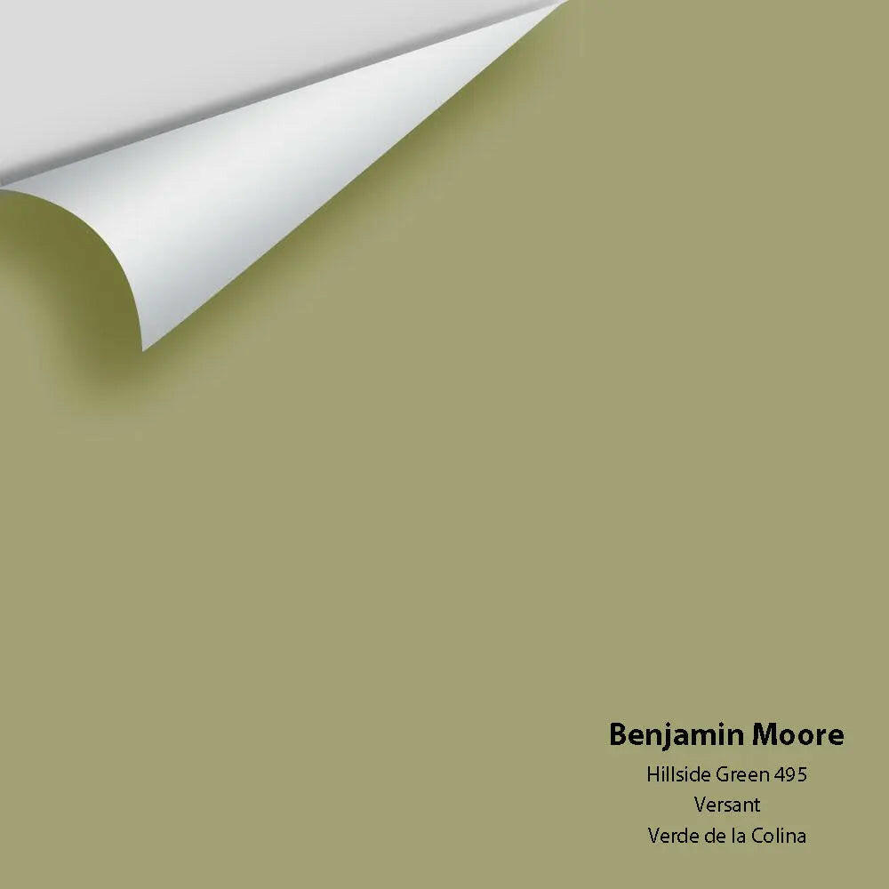 Benjamin Moore - Hillside Green 495 Colour Sample