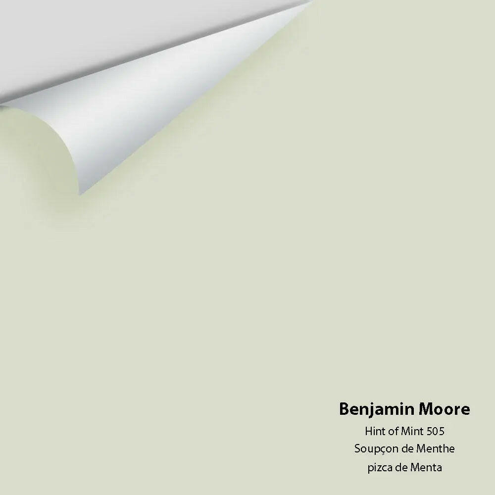 Big Paint Chip - Hint of Mint 505
