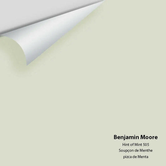 Big Paint Chip - Hint of Mint 505
