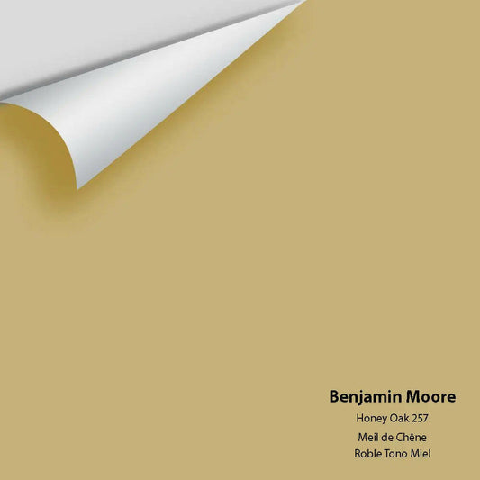 Big Paint Chip - Honey Oak 257