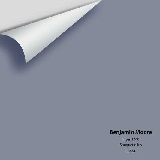 Benjamin Moore - Irises 1440 Colour Sample