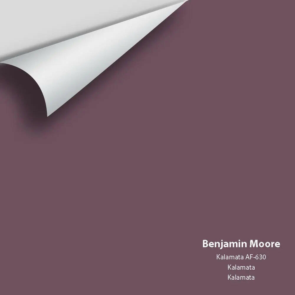 Benjamin Moore - Kalamata AF-630 Colour Sample