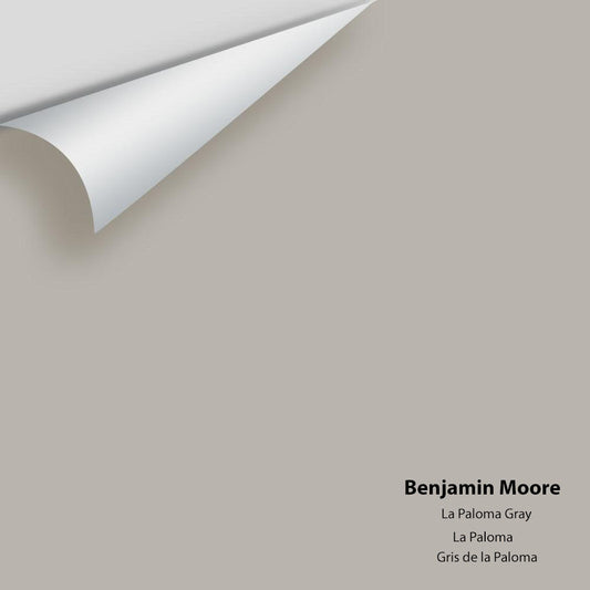 Big Paint Chip - La Paloma Gray 1551 - Colour Squared Inc.