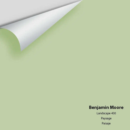 Big Paint Chip - Landscape 430