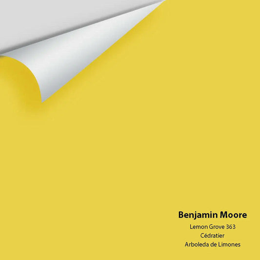 Big Paint Chip - Lemon Grove 363