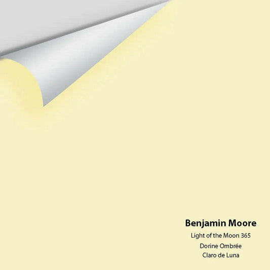 Big Paint Chip - Light of the Moon 365
