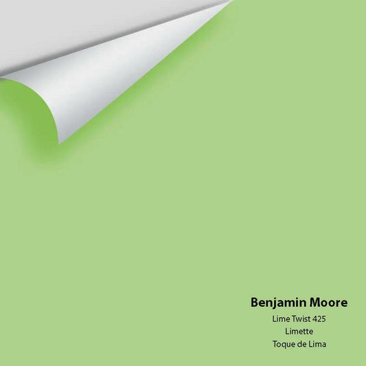 Big Paint Chip - Lime Twist 425