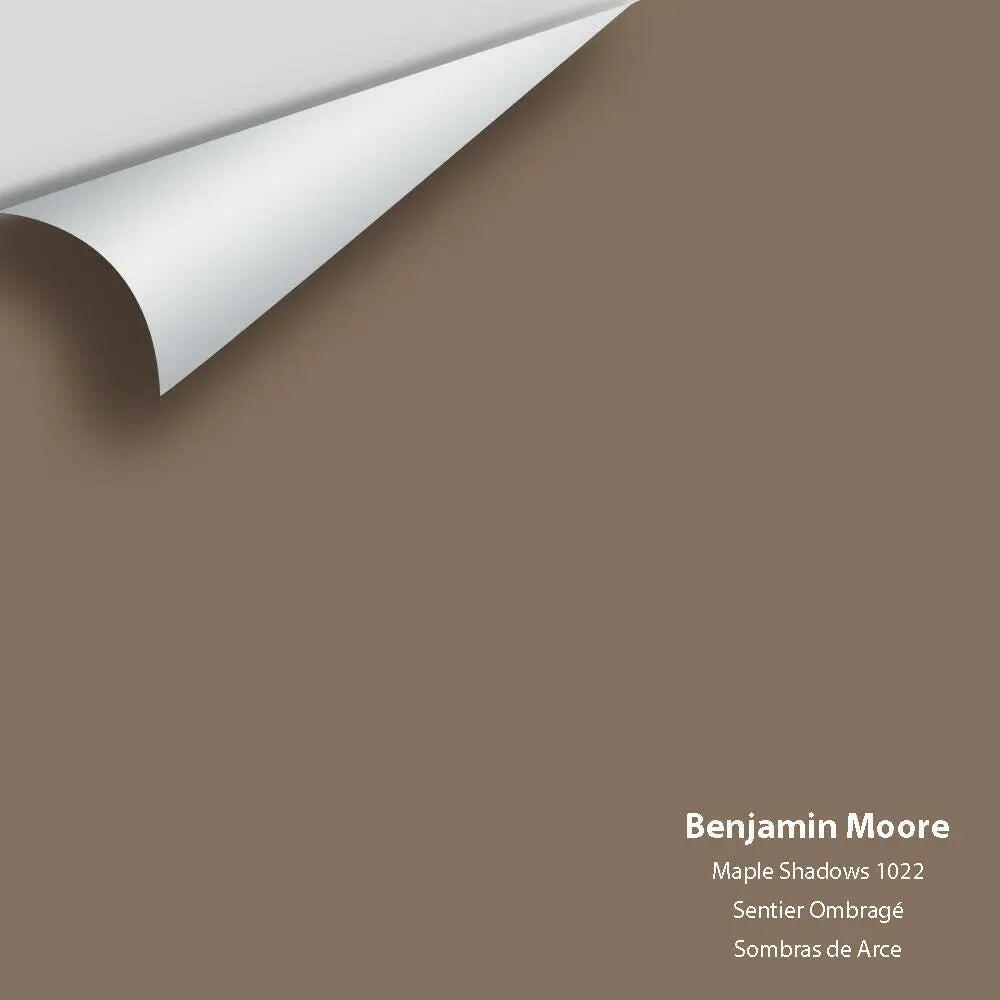 Big Paint Chip - Maple Shadows 1022