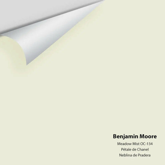 Benjamin Moore - Meadow Mist 936 / OC-134 Colour Sample