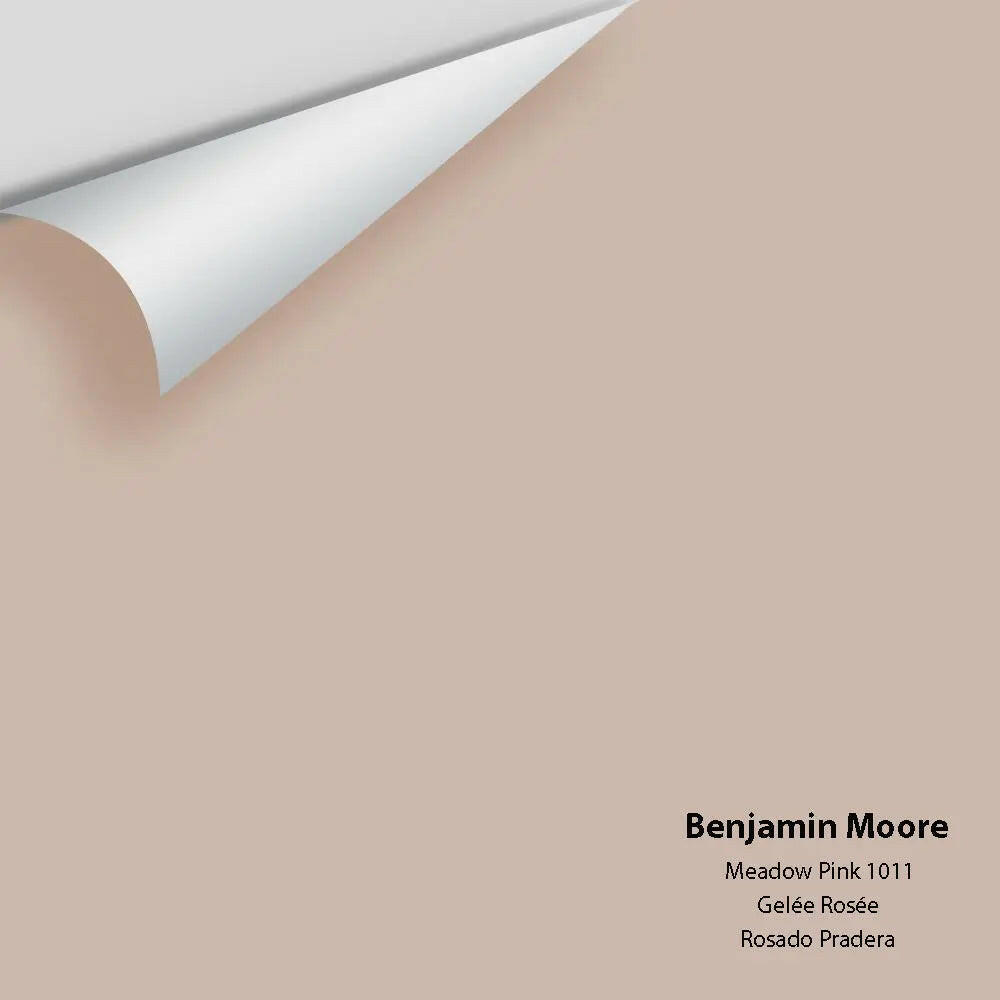 Benjamin Moore - Meadow Pink 1011 Color Sample